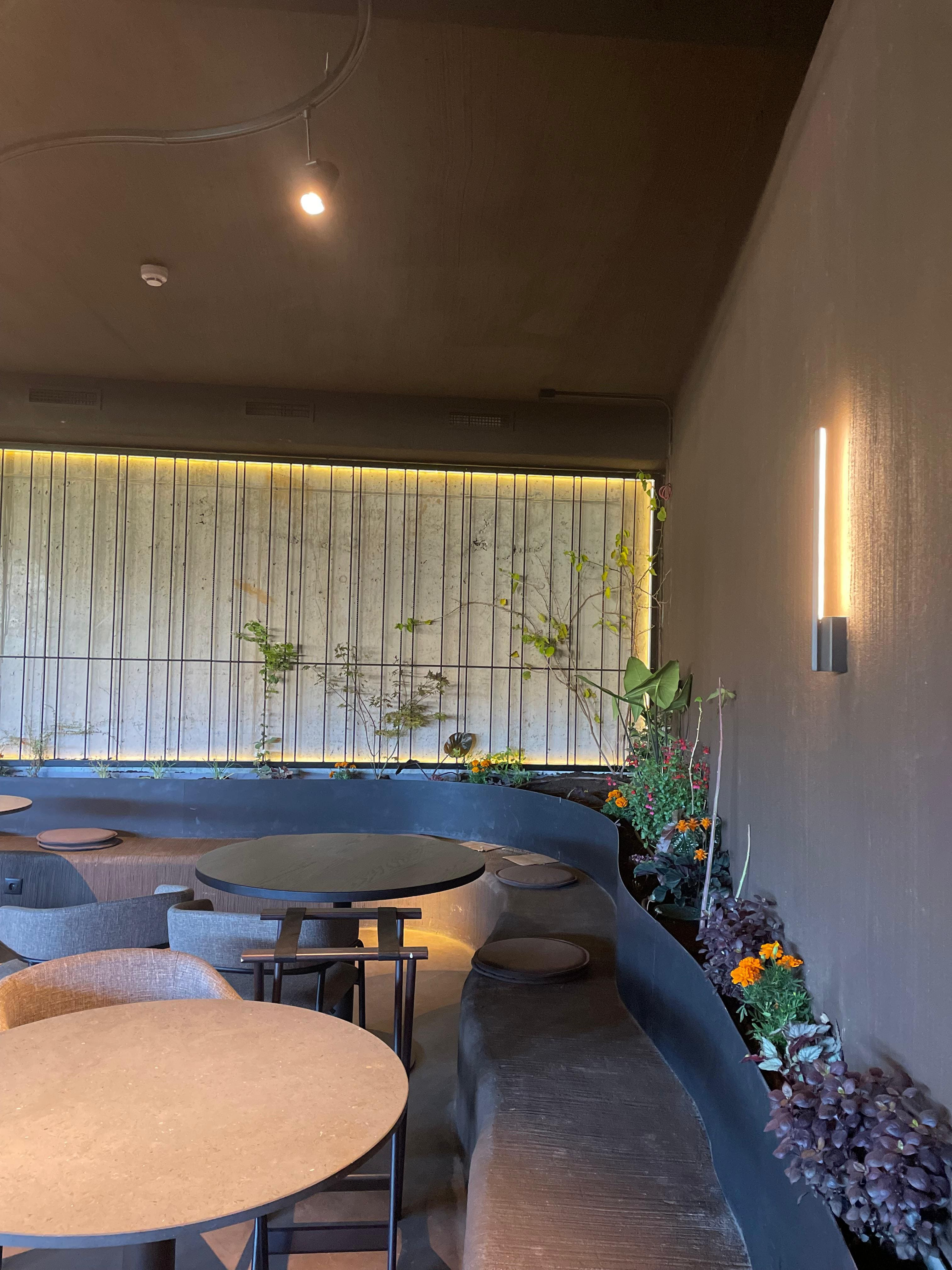 Proyecto Fango - foto 15